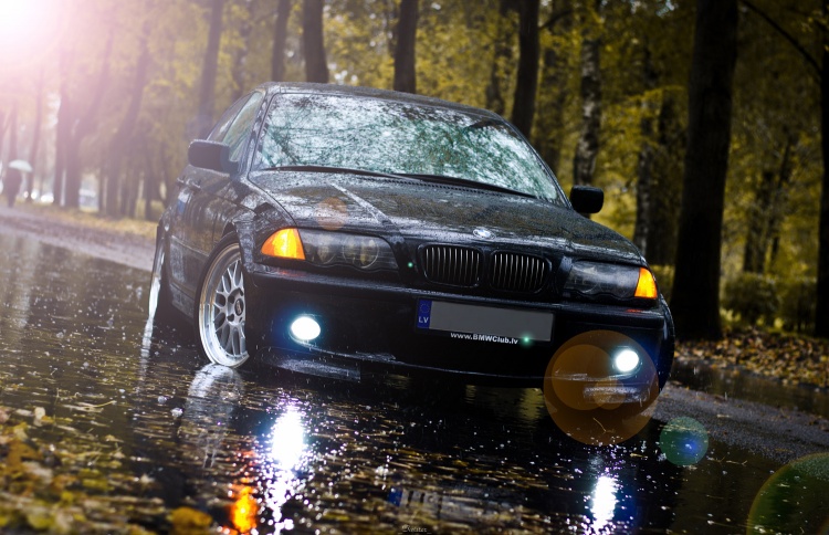 dsc_3686k.jpg