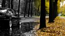 dsc_3693_t1.jpg