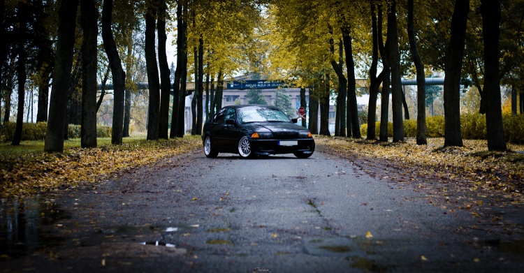 dsc_3695.jpg