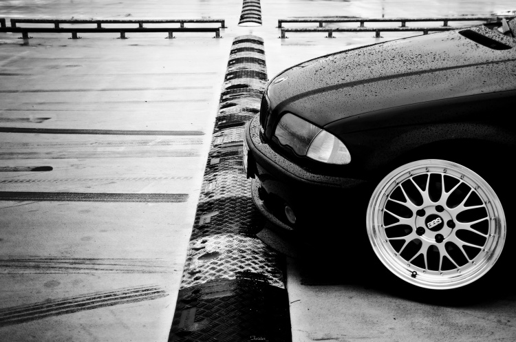 dsc_3951.jpg
