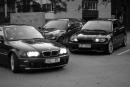 img_8504_t1.jpg